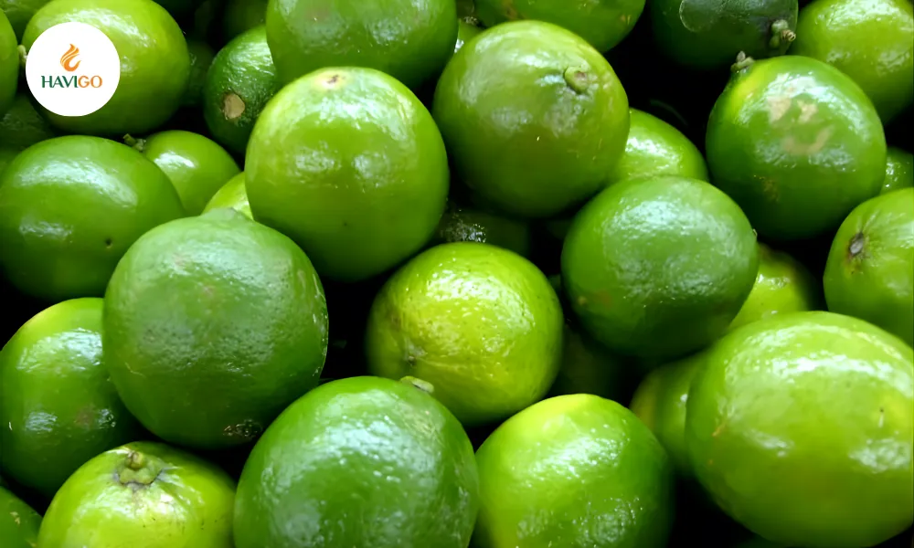 5 Reasons Vietnamese Persian Limes Lead the Global Citrus Market