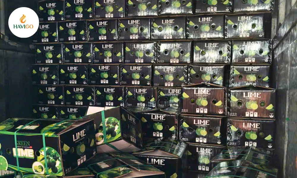 Seedless lime exported by Havigo