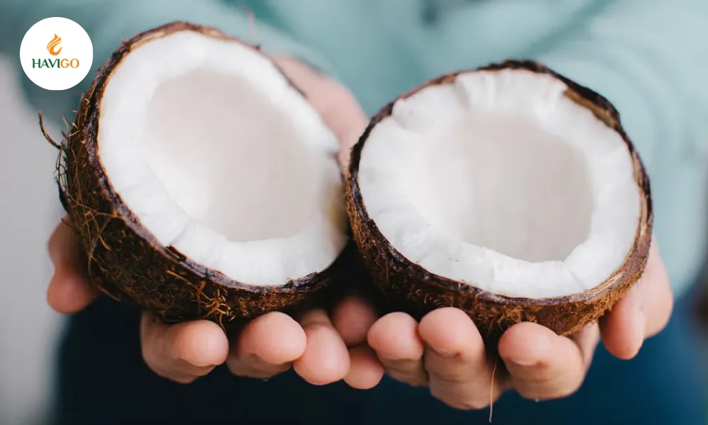 coconut is a drupe