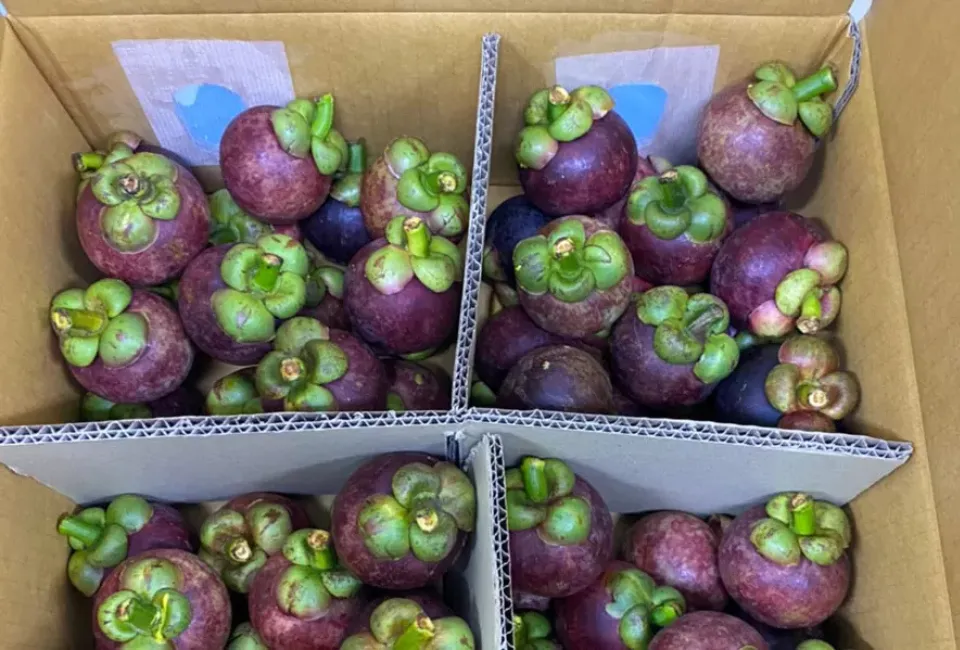 82 4 11zon HAVIGO VIETNAM