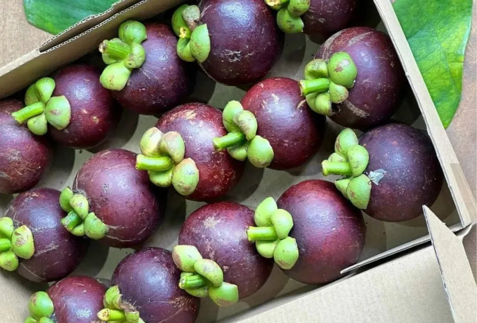 83 5 11zon HAVIGO VIETNAM