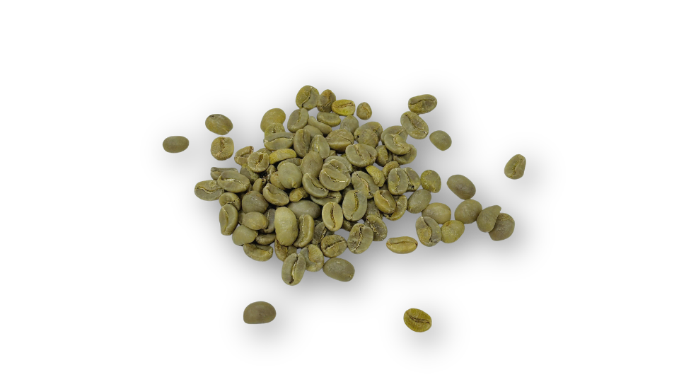 GREEN COFFEE BEANS