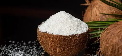 desiccated coconut 1 HAVIGO VIETNAM
