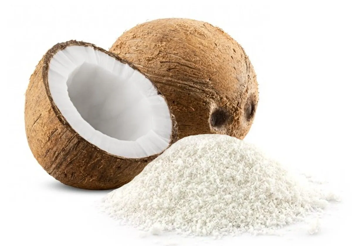 desiccated coconut HAVIGO VIETNAM