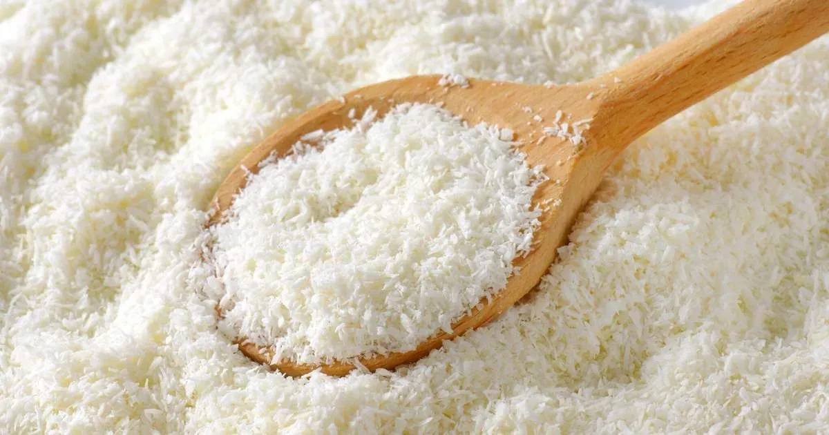Vietnamese desiccated coconut supplier