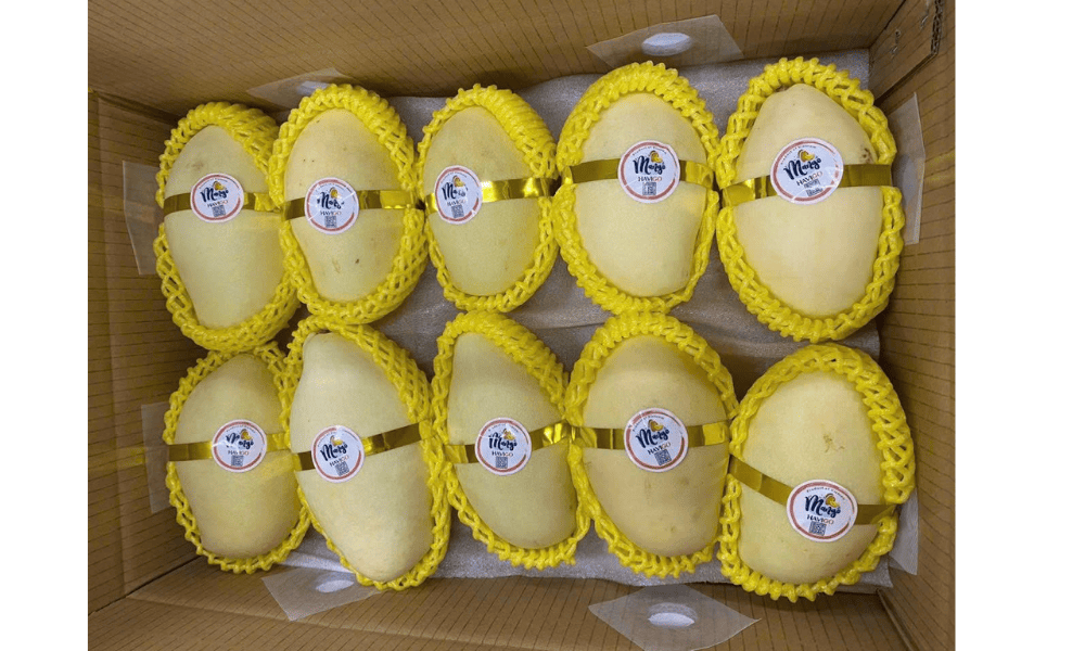 4 kg fresh mango export carton