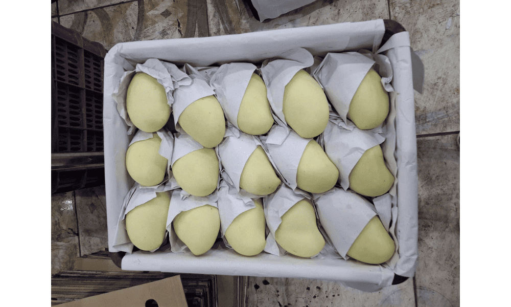 18 kg bulk fresh mango carton