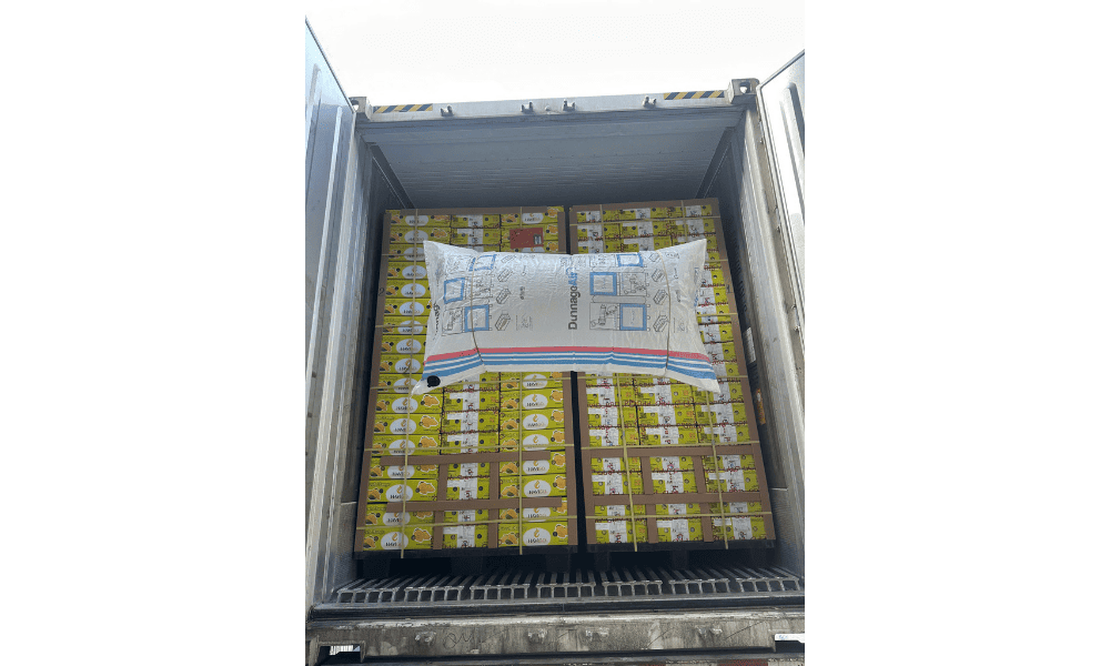 Fresh mango cold-chain loading for export