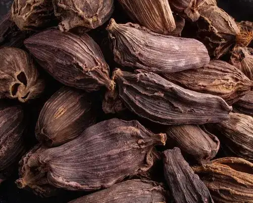 Vietnamese black cardamom
