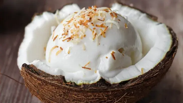 Uses of Desiccated Coconut: Why Do Manufacturers Prefer It?