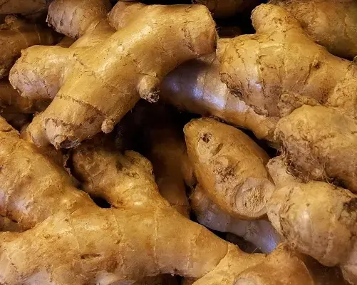 Vietnamese fresh and dried ginger