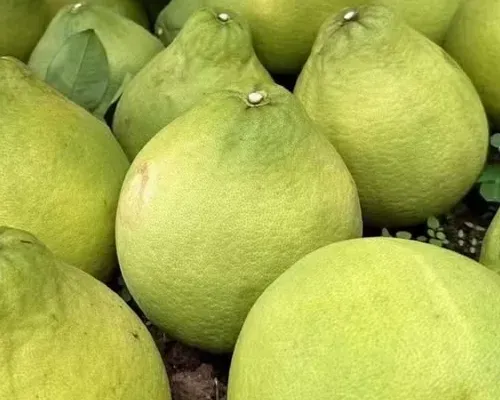 Vietnamese fresh pomelo