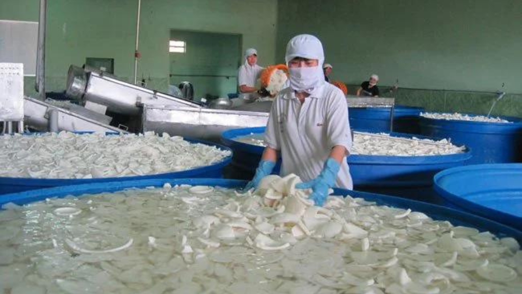 wholesale-desiccated-coconut