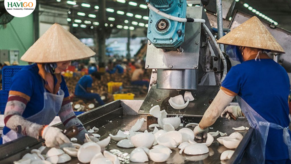 Wholesale-Desiccated-Coconut