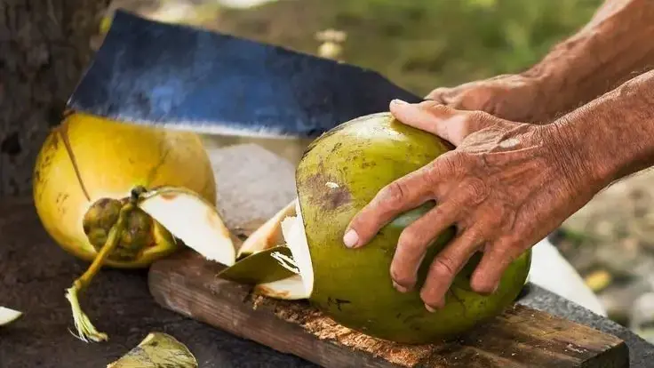 Desiccated-Coconut-Production-Process
