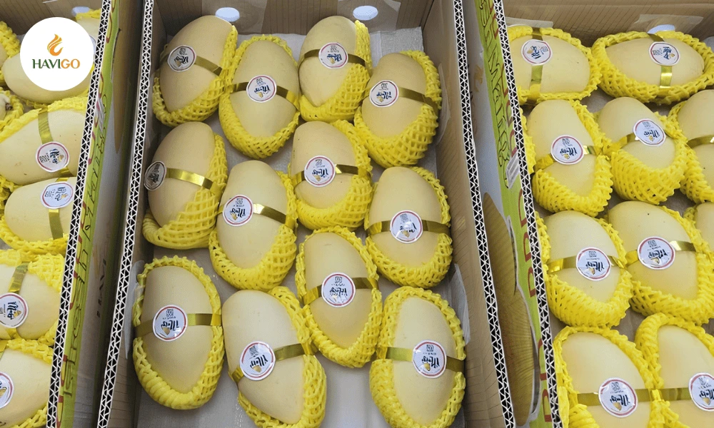Ảnh packing 5kg Mango