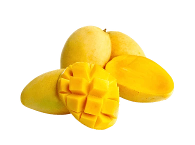 Cat Chu fresh mango supplier from Vietnam