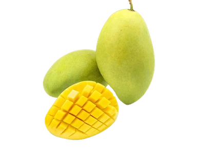 Hoa Loc fresh mango supplier Vietnam