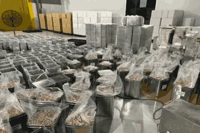 Tin box packing for cashew kernels