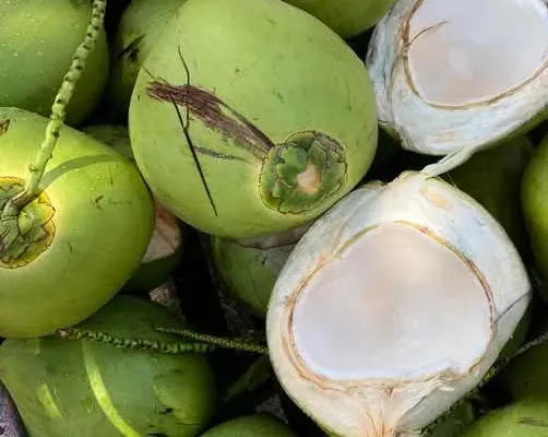 Vietnamese fresh coconut