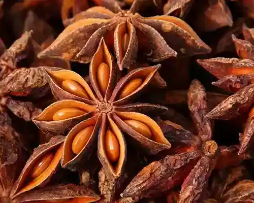 Vietnamese star anise