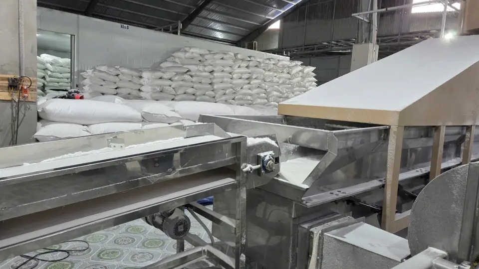 desiccated coconut factory