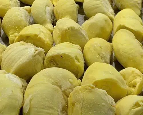 Vietnamese frozen durian