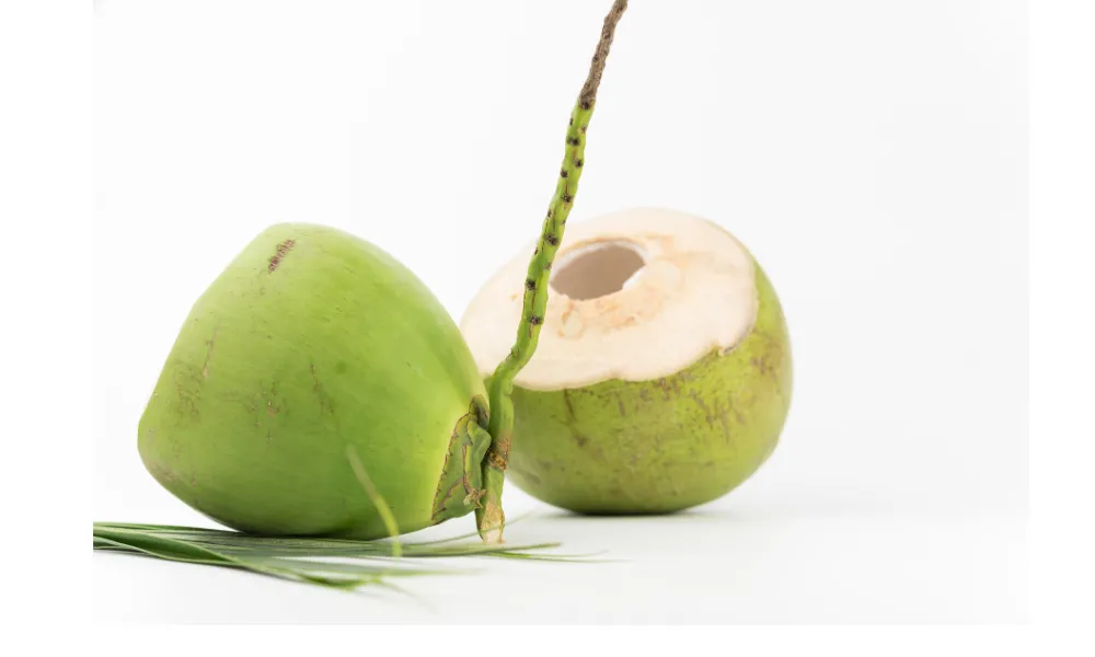 Green coconut supplier from Vietnam