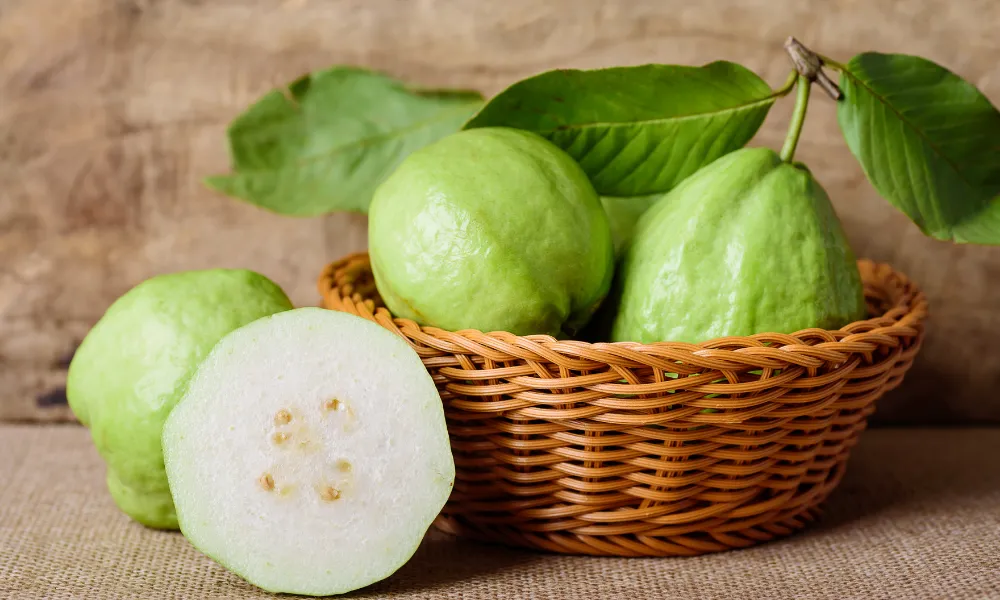 Guava exporter from Vietnam