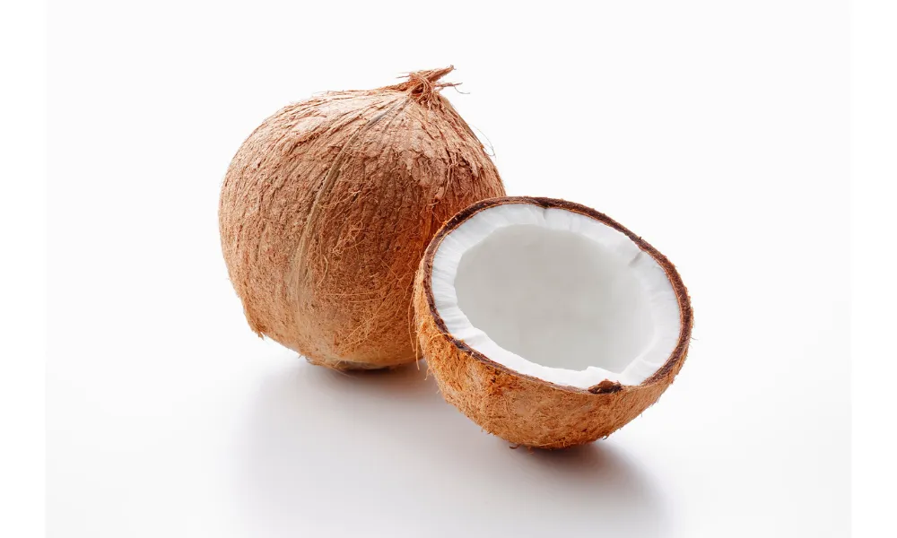 Semi husked coconut supplier Vietnam