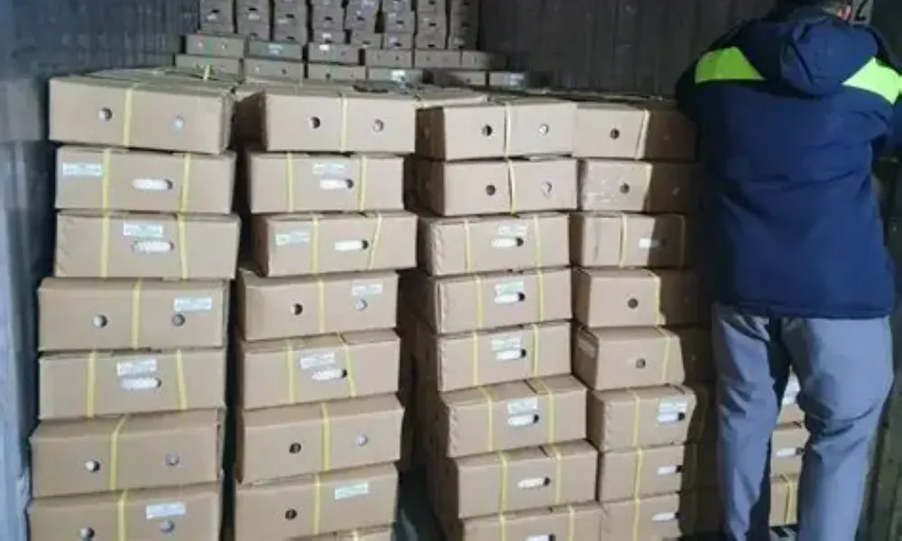 Fresh coconut bag packing for wholesale export