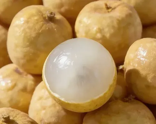 Vietnamese fresh longan