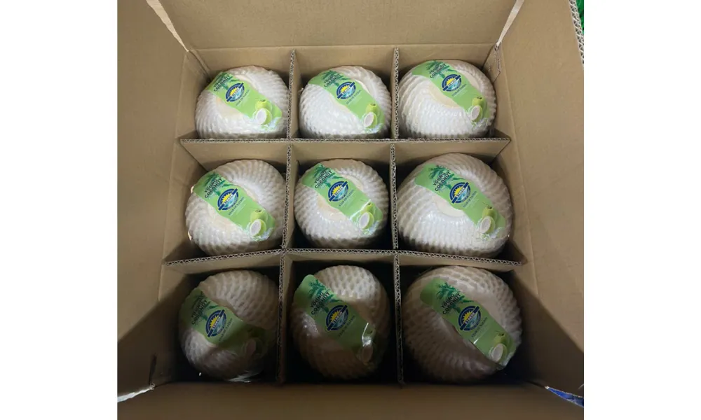Fresh coconut carton packing for export