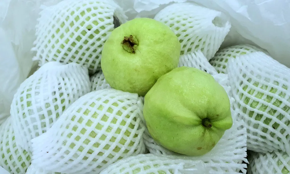 Foam net packing for fresh guava export