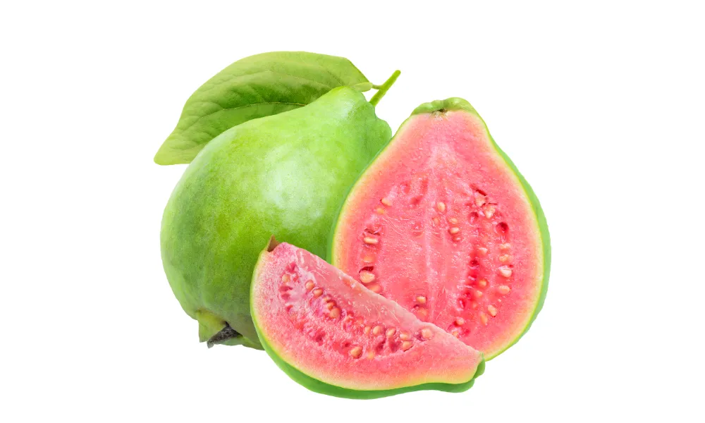 Pink guava exporter from Vietnam