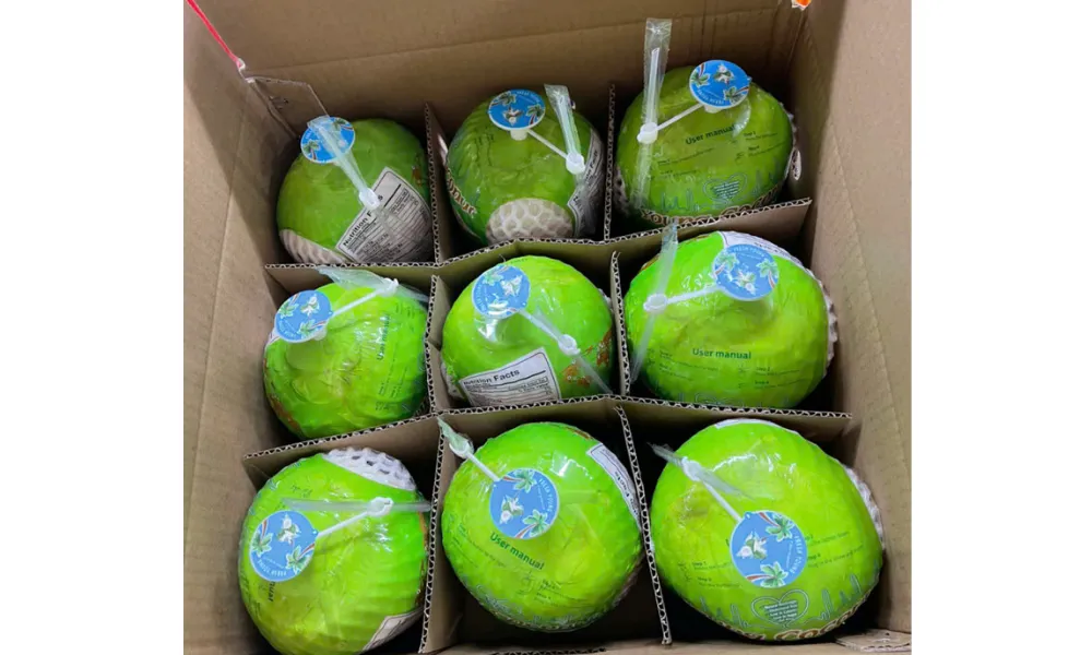 Push press coconut supplier from Vietnam