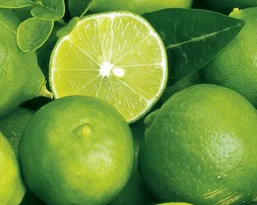 Vietnamese seedless lime