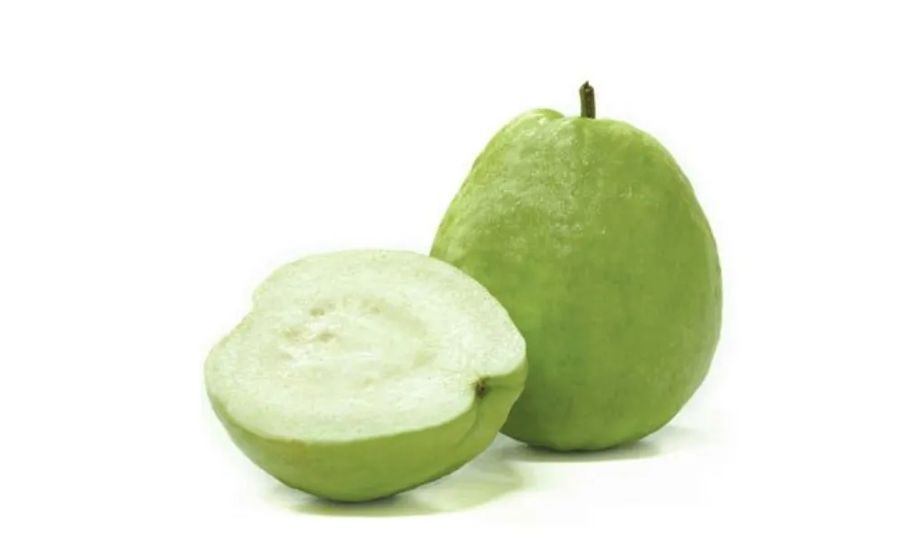Seedless guava supplier Vietnam