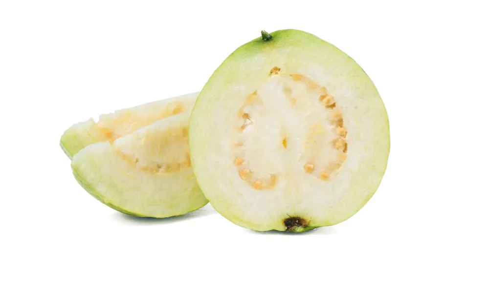 white guava HAVIGO VIETNAM