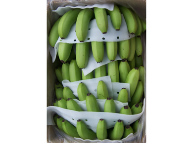 13 kg Hand Pack banana export carton