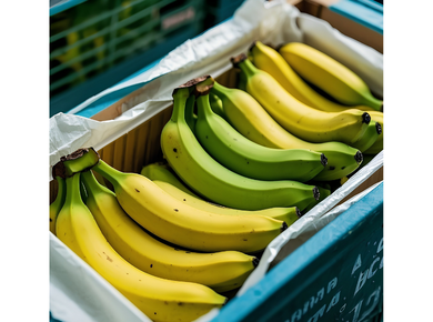 13 kg Cluster Pack banana export carton
