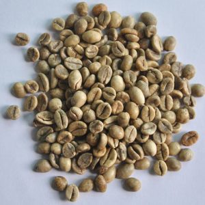 ca phe robusta 18 cao cap 3 300x300 1 HAVIGO VIETNAM
