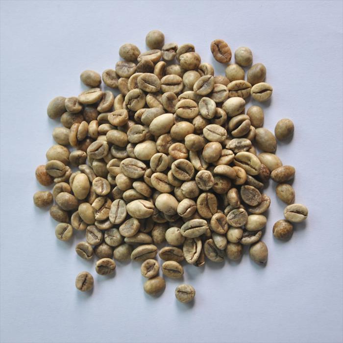 coffee s16 18 clean 6155 1 HAVIGO VIETNAM