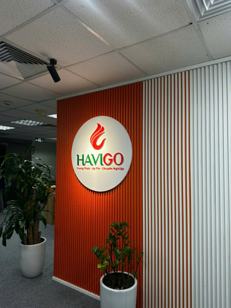 image 1 HAVIGO VIETNAM