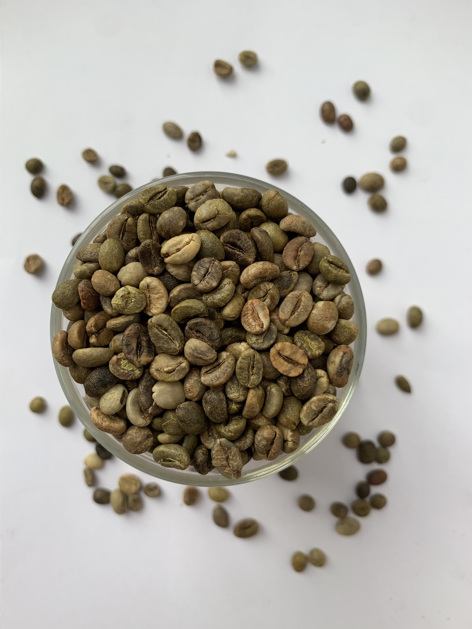 robusta 3 HAVIGO VIETNAM